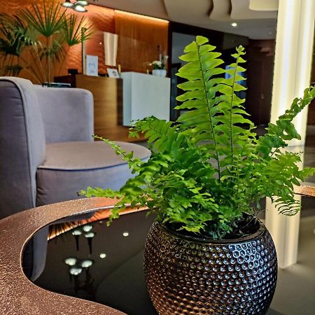Bazuny Hotel&Spa Косцежина Экстерьер фото