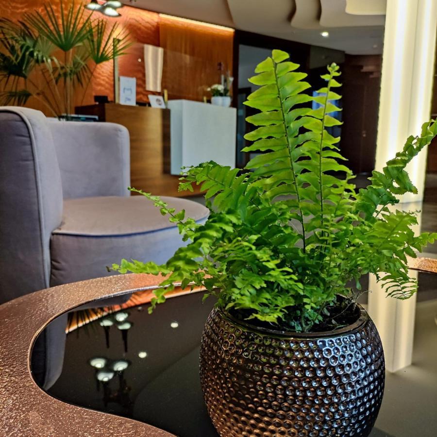 Bazuny Hotel&Spa Косцежина Экстерьер фото